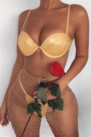 Shine Kuplu Bikini